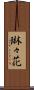 琳々花 Scroll