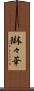 琳々華 Scroll