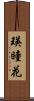 瑛瞳花 Scroll