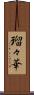 瑠々華 Scroll