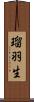 瑠羽生 Scroll