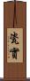 瓷實 Scroll