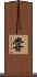 甞 Scroll
