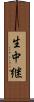 生中継 Scroll