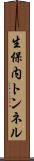 生保内トンネル Scroll