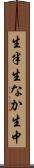 生半 Scroll