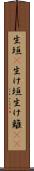 生垣(P) Scroll