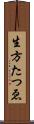 生方たつゑ Scroll