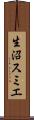 生沼スミエ Scroll