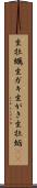 生牡蠣 Scroll