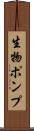 生物ポンプ Scroll