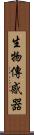 生物傳感器 Scroll