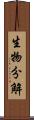 生物分解 Scroll