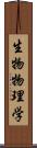 生物物理学 Scroll