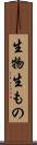 生物 Scroll