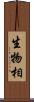 生物相 Scroll