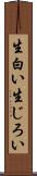 生白い Scroll