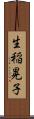 生稲晃子 Scroll