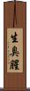 生臭 Scroll