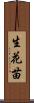 生花苗 Scroll