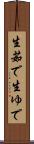 生茹で Scroll