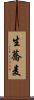 生蕎麦 Scroll