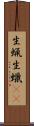 生蝋 Scroll