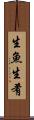 生魚 Scroll