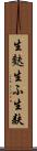 生麩 Scroll