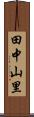 田中山里 Scroll