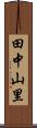 田中山里 Scroll