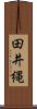 田井縄 Scroll