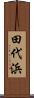 田代浜 Scroll