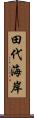 田代海岸 Scroll