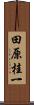田原桂一 Scroll