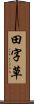 田字草 Scroll