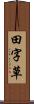 田字草 Scroll