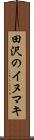 田沢のイヌマキ Scroll