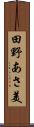 田野あさ美 Scroll