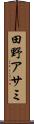 田野アサミ Scroll