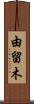 由留木 Scroll