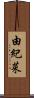 由紀菜 Scroll