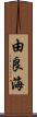 由良海 Scroll