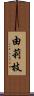 由莉枝 Scroll