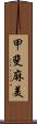 甲斐麻美 Scroll