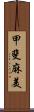 甲斐麻美 Scroll