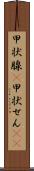 甲状腺(P) Scroll
