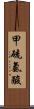 甲硫氨酸 Scroll