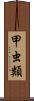 甲虫類 Scroll