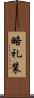 略礼装 Scroll